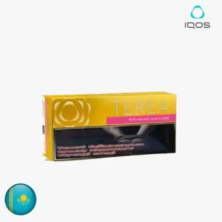 【黃原味】哈版IQOS煙彈口味 ILUMA加熱菸主機專用 三天到貨 整條TEREA煙彈10包