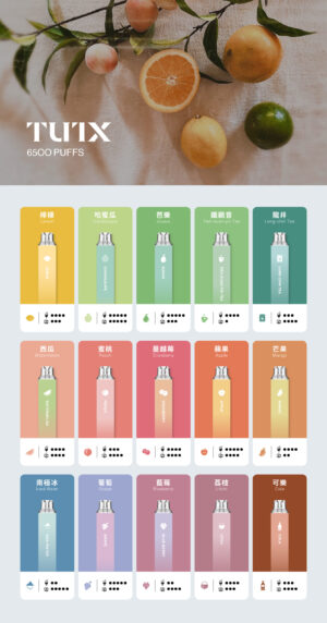 TUTX 6500口一次性拋棄式電子煙 | 多種口味 | 台灣現貨 | 大容量免充電
